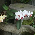 DSC08283.JPG