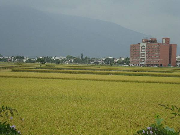 夏風 荷塘詩韻 痞客邦 夏風 荷塘詩韻 痞客邦