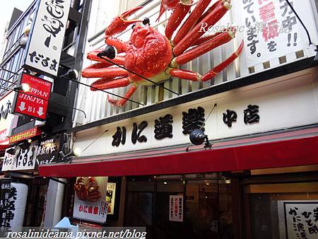 DSC00480 DSC00480