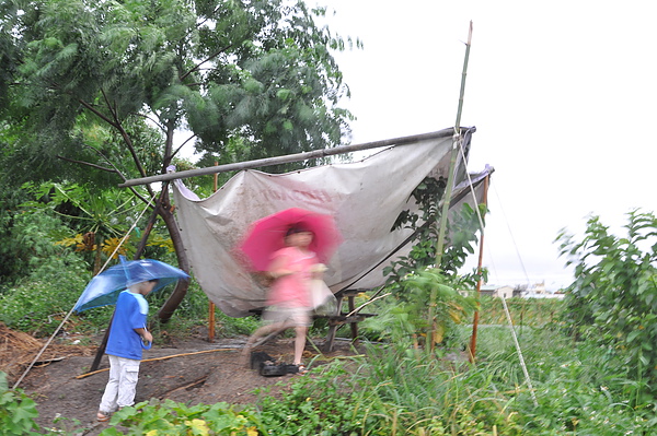 99-5-23公田雨景 001.jpg