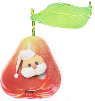 小蟲蓮霧 小蟲蓮霧