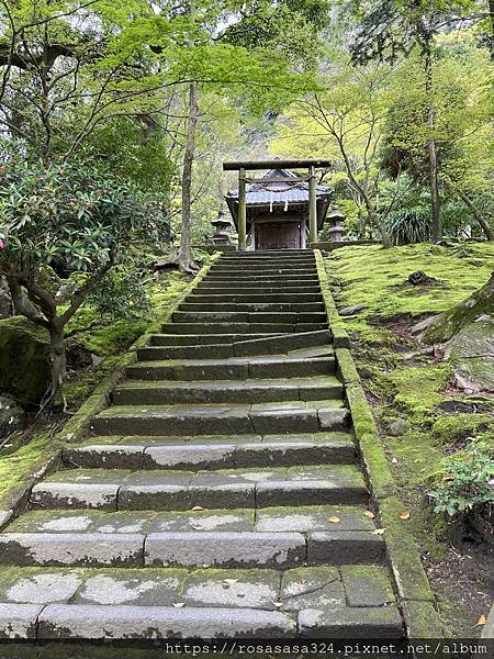 2023開關亞洲巡迴蜜月之旅: 日本九州篇day 5 鹿兒島