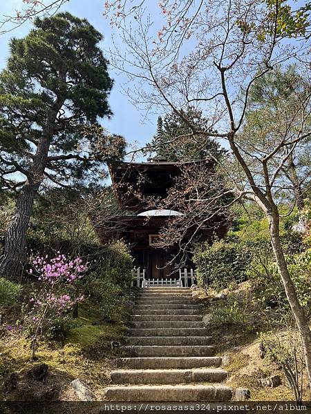 2023開關亞洲巡迴蜜月之旅: 日本關西京都賞櫻篇day 3