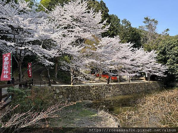 2023開關亞洲巡迴蜜月之旅: 日本關西京都賞櫻篇day 3