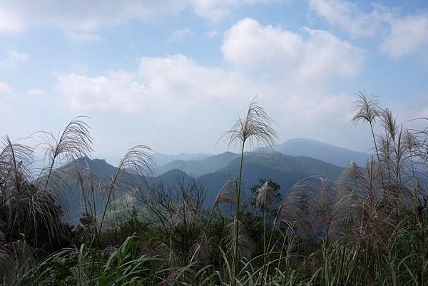 1051114五分山(4).JPG 1051114五分山(4).JPG