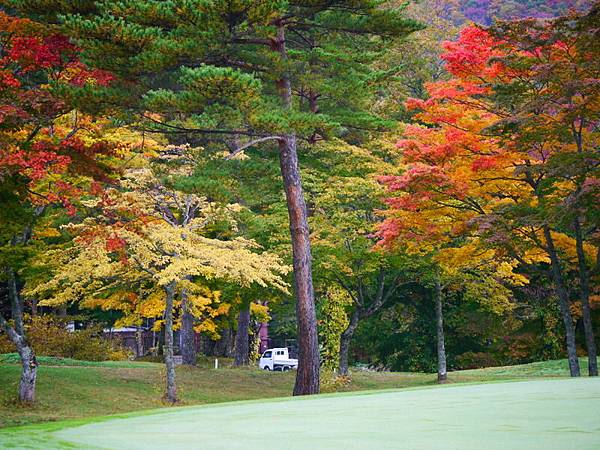 10810月日本東北(11).JPG