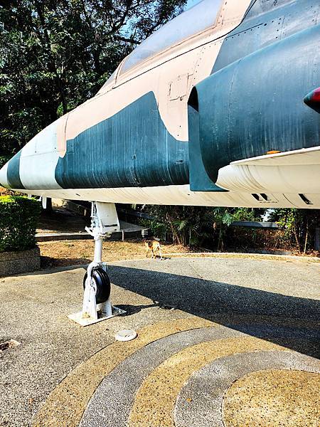 在八卦山里面的2台空中車廂式運輸機C119軍機特色公園
