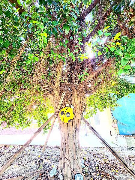 糖果為主題裝置藝術的德美公園