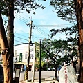 在八卦山里面的2台空中車廂式運輸機C119軍機特色公園