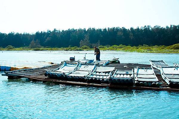 七股南灣海上釣客