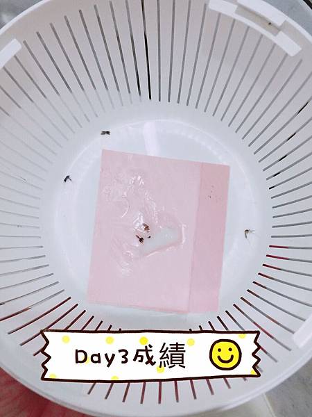 S__117407773.jpg S__117407773.jpg