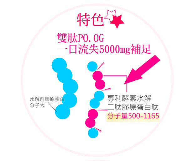 螢幕快照 2019-04-09 下午6.43.21.png