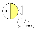 fish.bmp fish.bmp