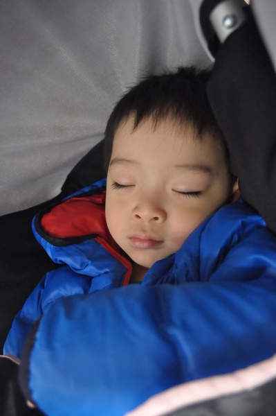 DSC_1456.JPG DSC_1456.JPG