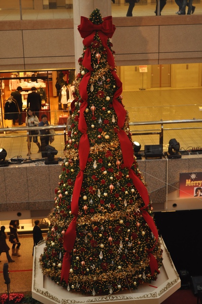 DSC_1667.JPG DSC_1667.JPG