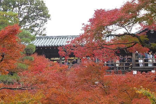 東福寺2.JPG