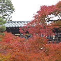 東福寺2.JPG