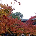 東福寺6.jpg