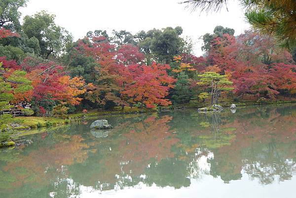 金閣寺3.JPG