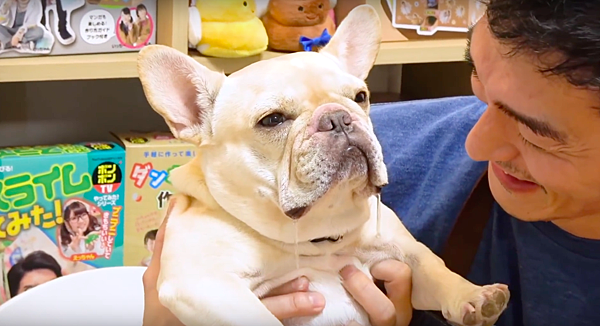 螢幕快照 2018-09-10 下午7.29.39