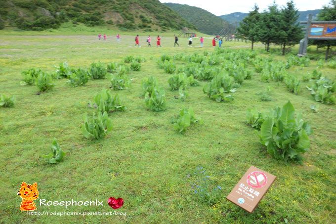 20160719香格里拉-01屬都湖 (35).JPG