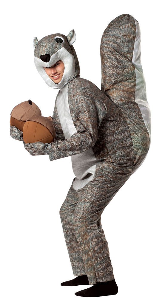 6513-Squirrel-Costume-large