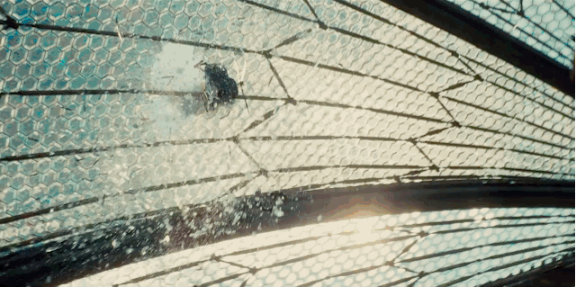 GIF_jurassic_world_global_trailer_10.gif GIF_jurassic_world_global_trailer_10.gif