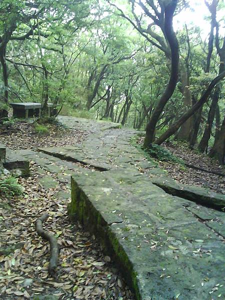 七星山步道