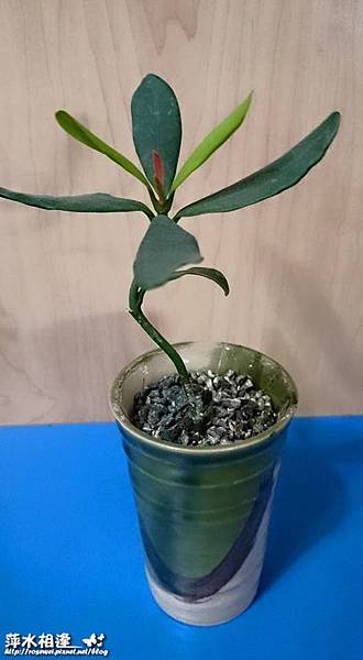 11811373_1171515709528968_77640329321197758_n 11811373_1171515709528968_77640329321197758_n