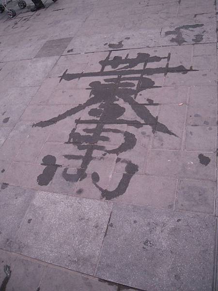 DSCN9488