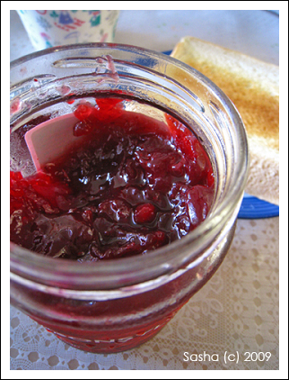jam001.jpg jam001.jpg