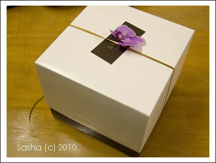 20100330-2.jpg 20100330-2.jpg