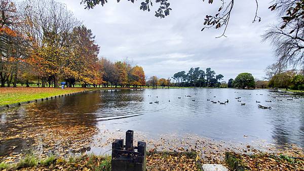 202505紐西蘭非自駕17日~Day 9~基督城市區~植物
