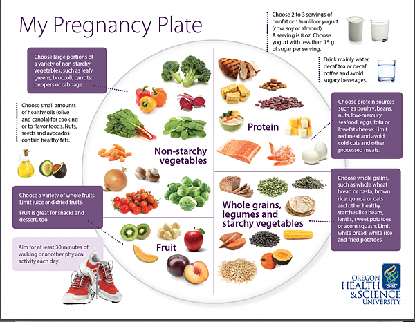 Pregnancy-Plate.png