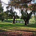 Shenton Park