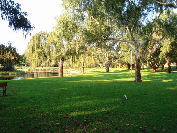 Shenton Park