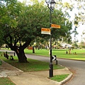 Shenton Park 街景