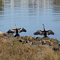 Heirisson Island