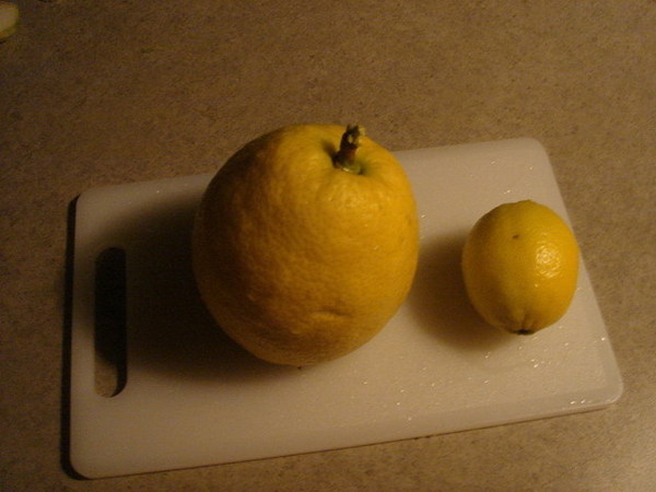 新鮮摘下的檸檬