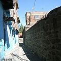 dyan barkya-wall-9.jpg