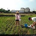 除草1.jpg