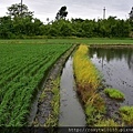 左鄰田-右B區1.JPG