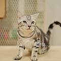 DSCF7074.JPG