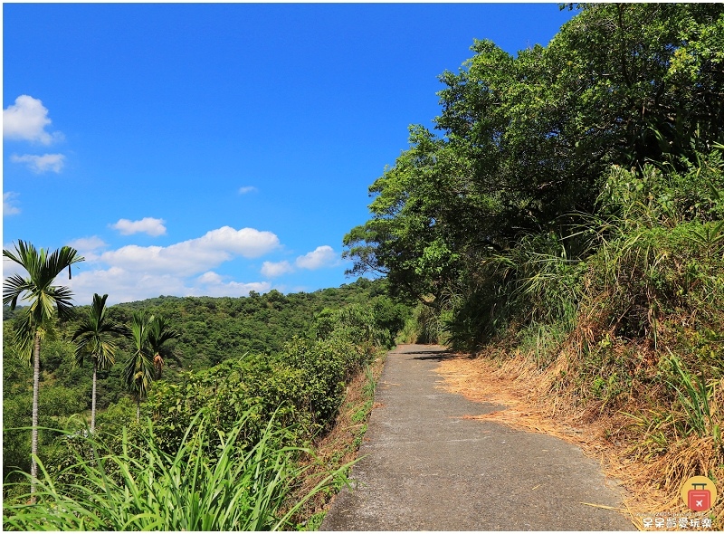 宜蘭景點|中山茶園步道!輕鬆遠眺龜山島及蘭陽平原美景!步行1 宜蘭景點|中山茶園步道!輕鬆遠眺龜山島及蘭陽平原美景!步行1