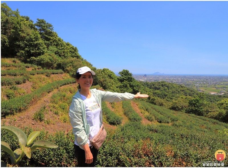 宜蘭景點|中山茶園步道!輕鬆遠眺龜山島及蘭陽平原美景!步行1 宜蘭景點|中山茶園步道!輕鬆遠眺龜山島及蘭陽平原美景!步行1