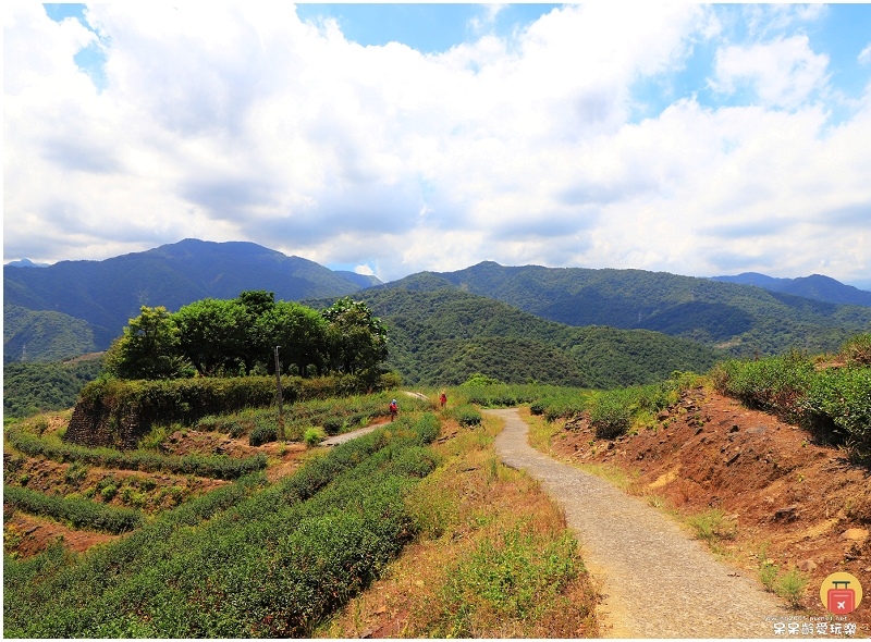 宜蘭景點|中山茶園步道!輕鬆遠眺龜山島及蘭陽平原美景!步行1 宜蘭景點|中山茶園步道!輕鬆遠眺龜山島及蘭陽平原美景!步行1