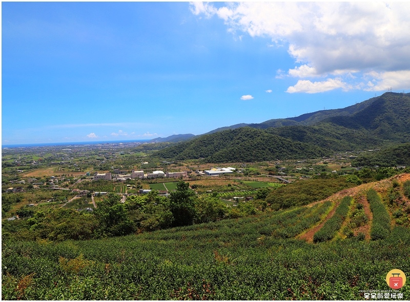 宜蘭景點|中山茶園步道!輕鬆遠眺龜山島及蘭陽平原美景!步行1 宜蘭景點|中山茶園步道!輕鬆遠眺龜山島及蘭陽平原美景!步行1