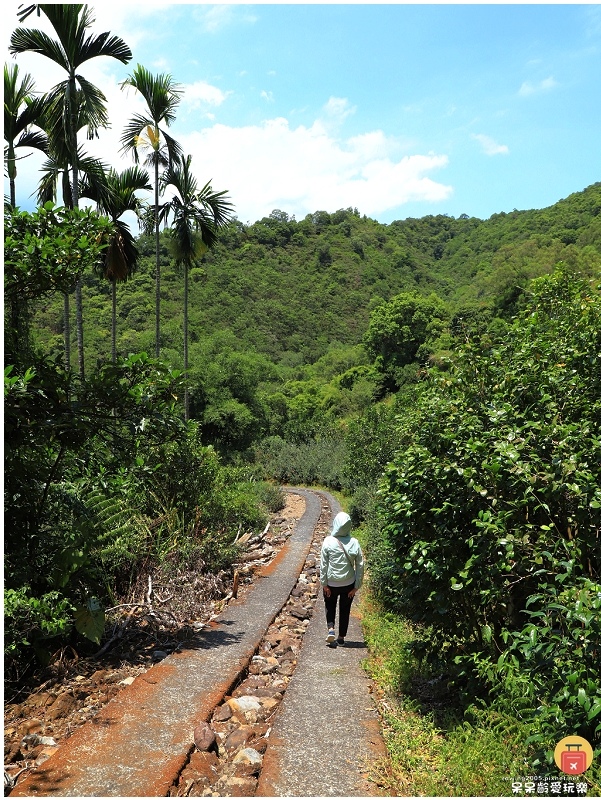 宜蘭景點|中山茶園步道!輕鬆遠眺龜山島及蘭陽平原美景!步行1 宜蘭景點|中山茶園步道!輕鬆遠眺龜山島及蘭陽平原美景!步行1