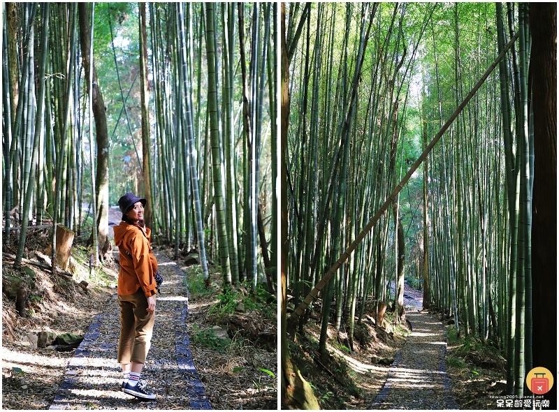 嘉義景點｜巃仔尾花石溪步道！步行１分鐘即可抵達！一探栩栩如生