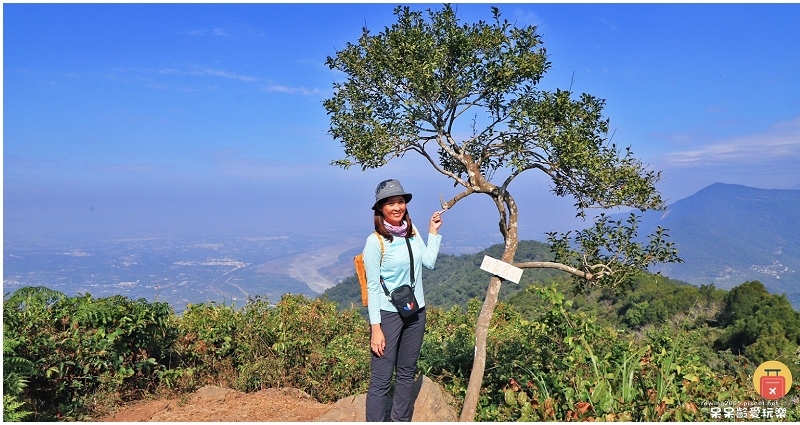 屏東白賓山步道！必訪白賓名樹！遼闊視野盡攬屏東美景！三角點海